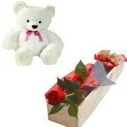 Send Flowers & Cakes Combo to India